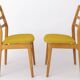 2 Vintage Chairs Casala, 1970s, Germany