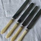 Box of 12 table knives Napoleon III XIXth
