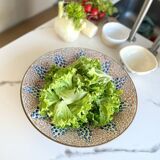 Terracotta dish from Luxor, Egypt