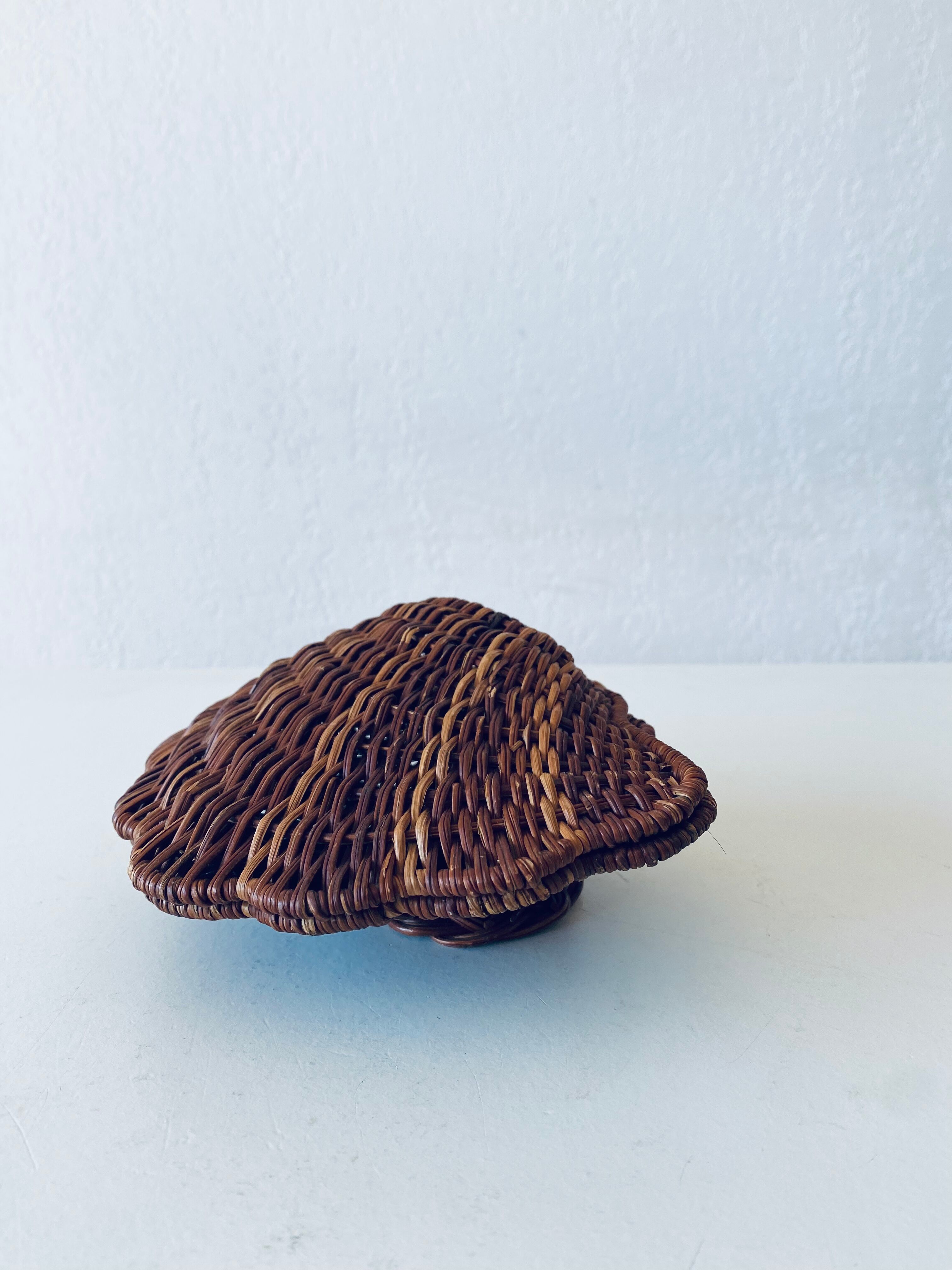 Wicker shell box