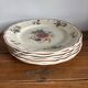6 Sarreguemines dinner plates