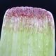 Asparagus dish in bubble