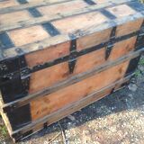 Old trunk