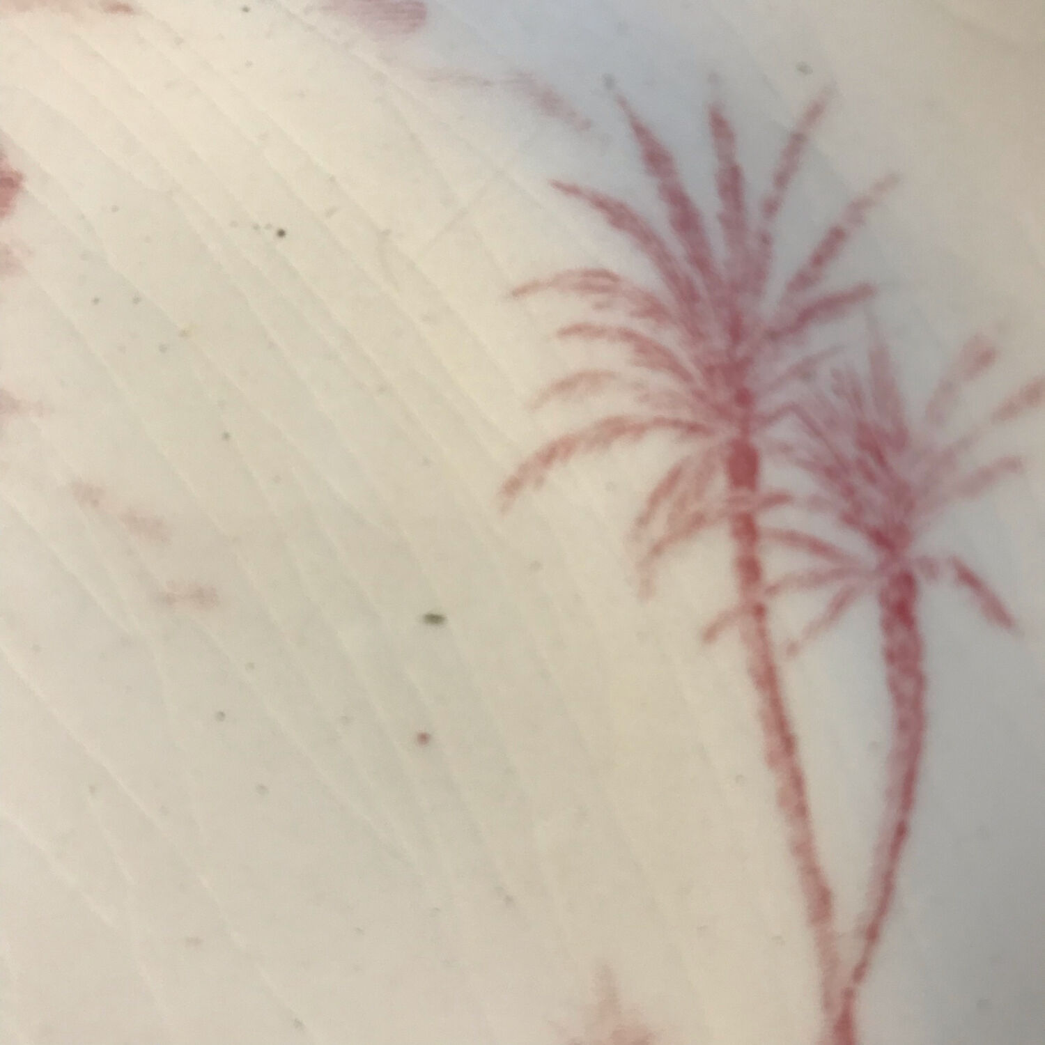 6 dessert plates views of orient rose