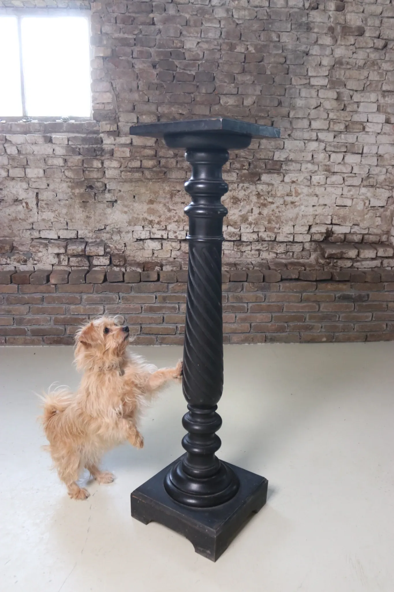 Ebonised wooden column with turned spiral shaft – Napoleon III, 19th c.