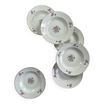 6 deep plates, antique earthenware from Sarreguemines, Cibon model, Nice.