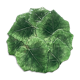 Dish patterns leaves Green color numbered Italy
