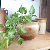 Grand Cache-Pot en Grès Vernissé – Signé Accolay n 18, H 19,5 cm