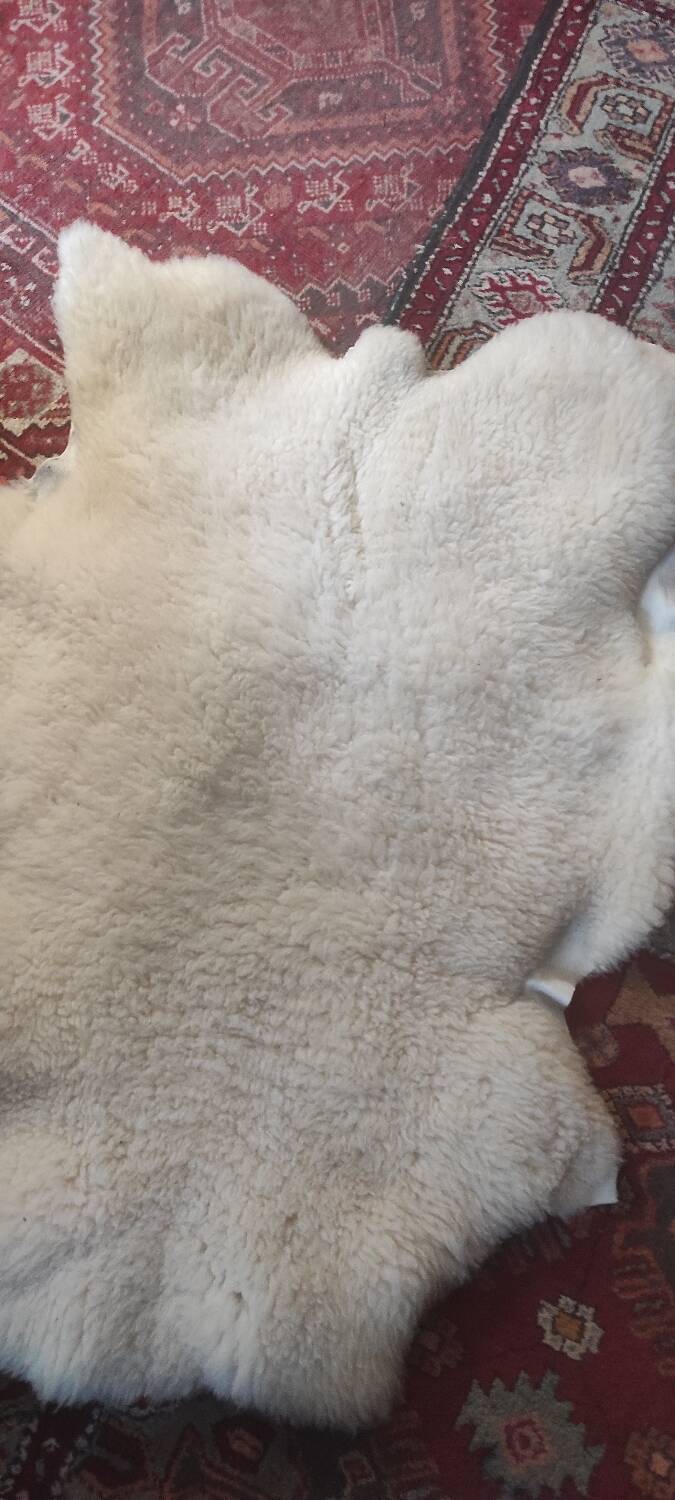 Sheepskin