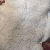 Sheepskin