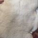 Sheepskin