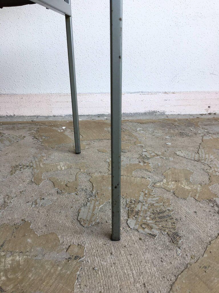 Pair of chairs model gamma Rudolf Wolf 1960