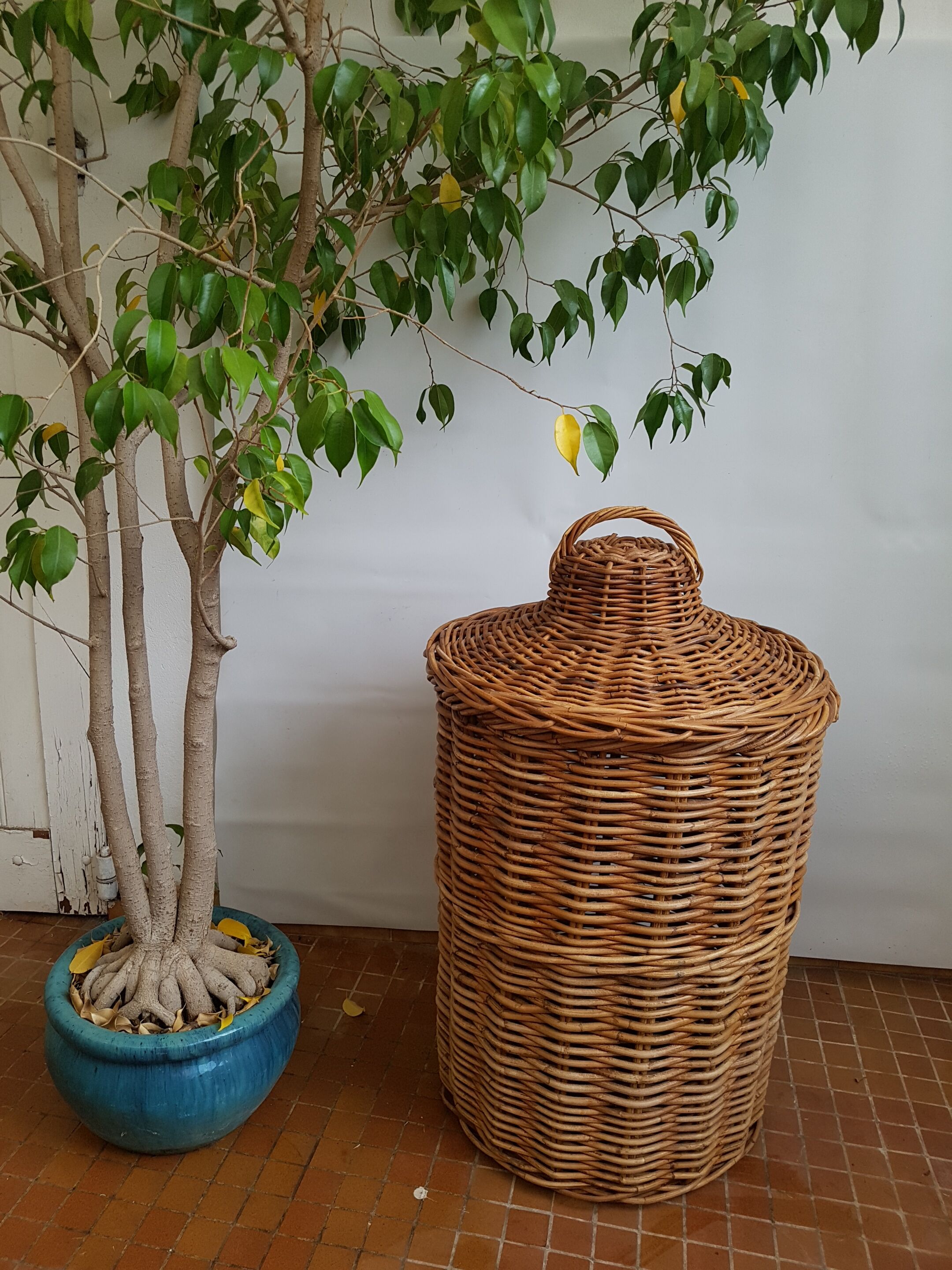 Large basket in vintage rattan 50s