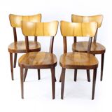 Ensemble de 4 chaises à repas par Tatra en noyer, Tchécoslovaquie 1960