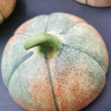 Together dabbling melon fruit salad