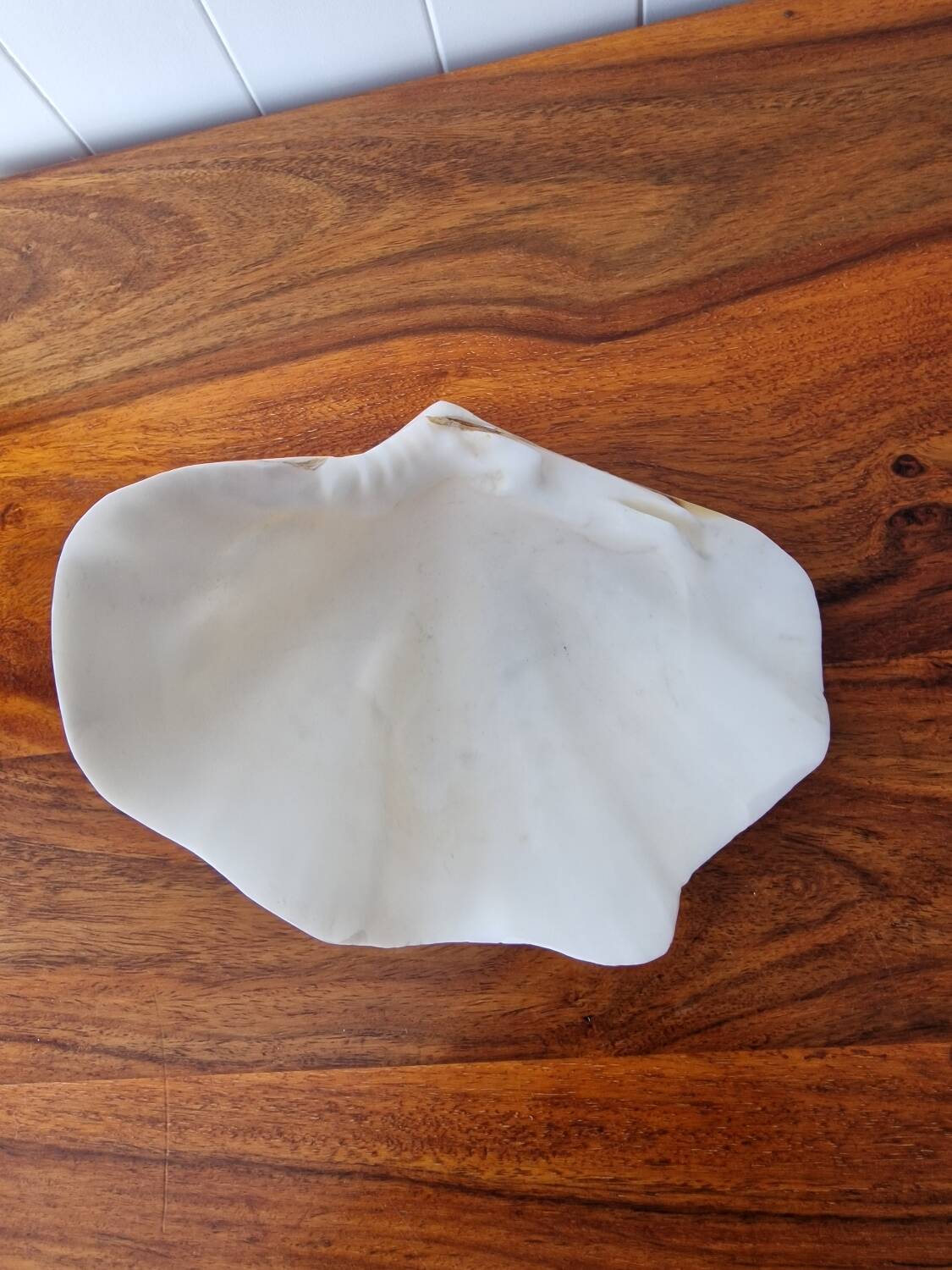 Seashell trinket dish