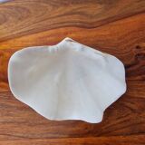Shell holy water font emptier