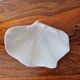 Seashell trinket dish