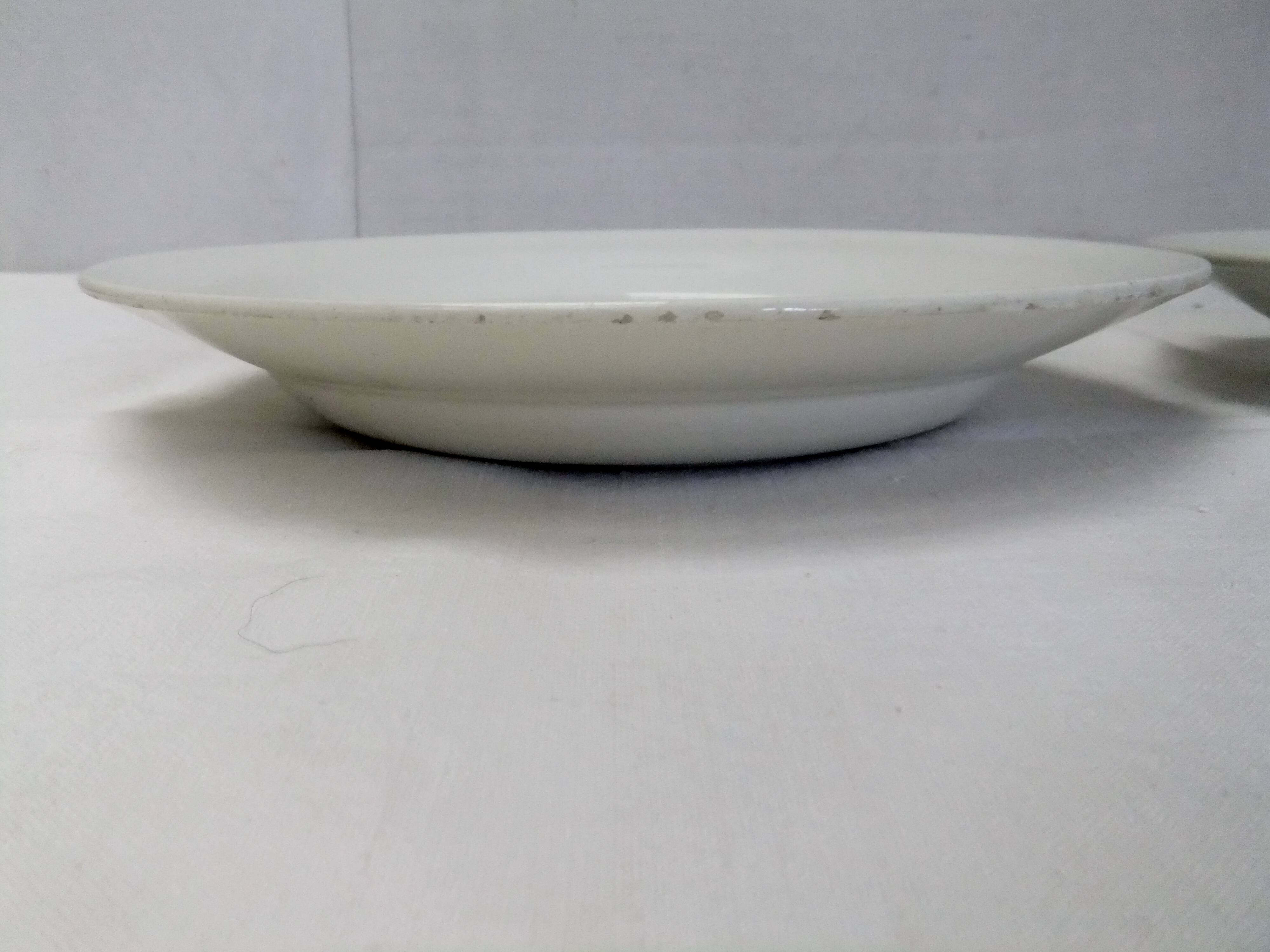 Ceranord St Amand plate with flower decoration and cutlery set