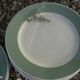 Lot of 10 plates Digoin Sarreguemines