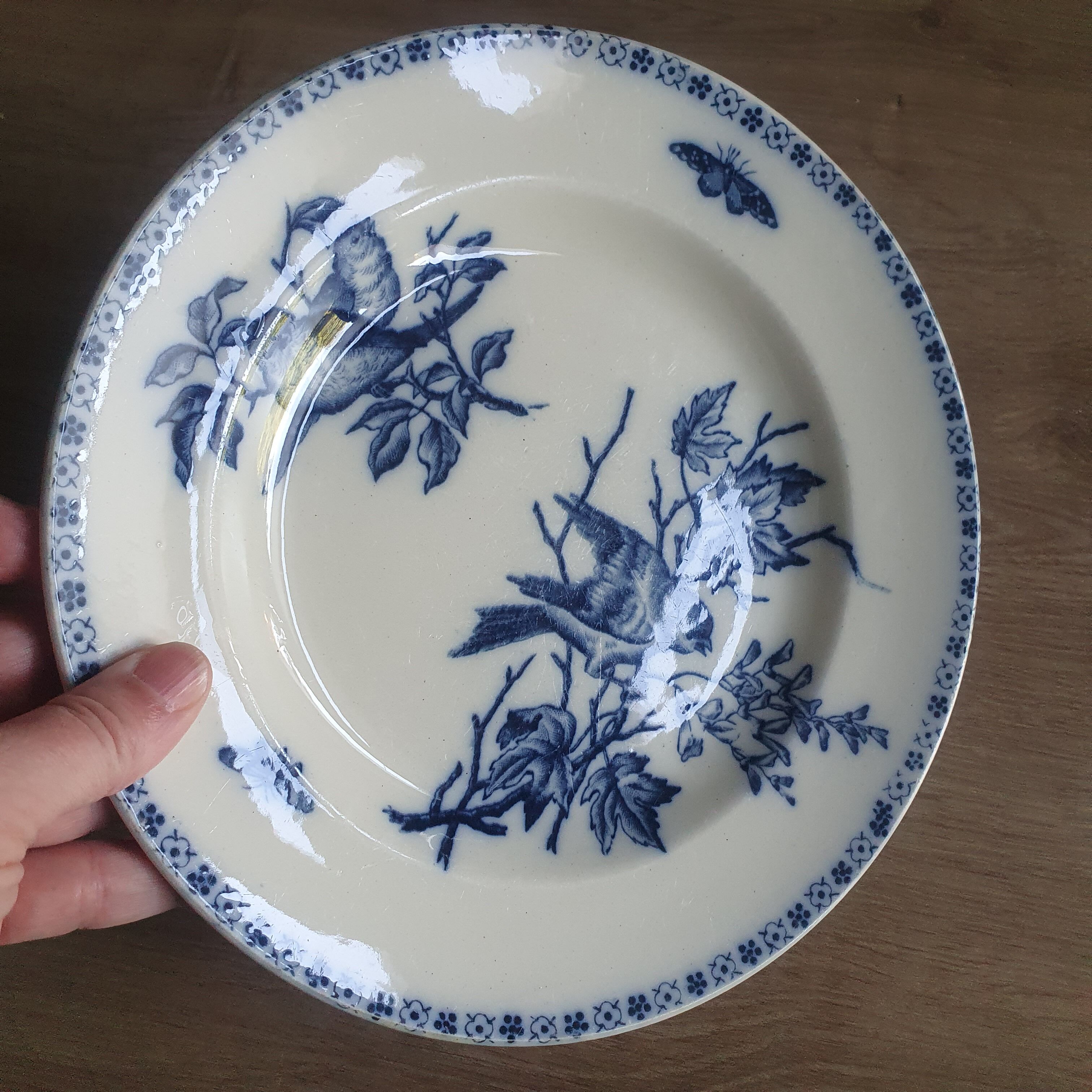 Iron Earth plate