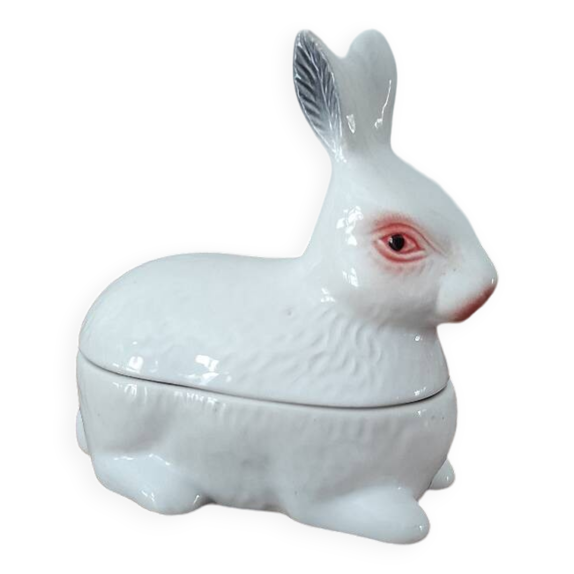 Caugant rabbit box