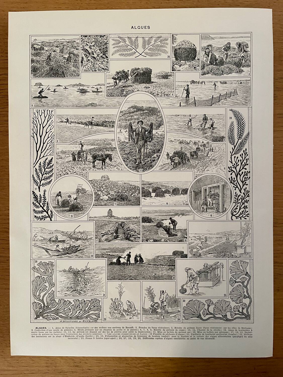 Lot of 3 20th century lithos