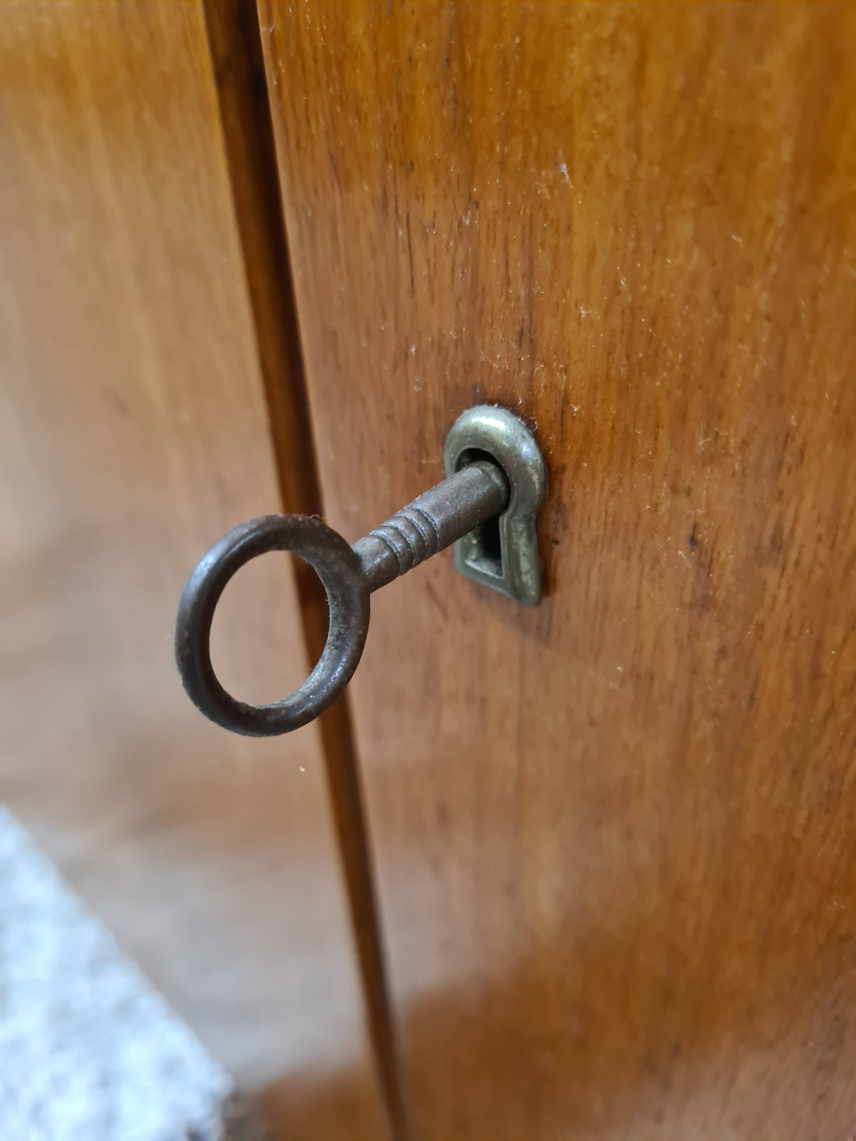 Showcase library 1960 vintage Scandinavian