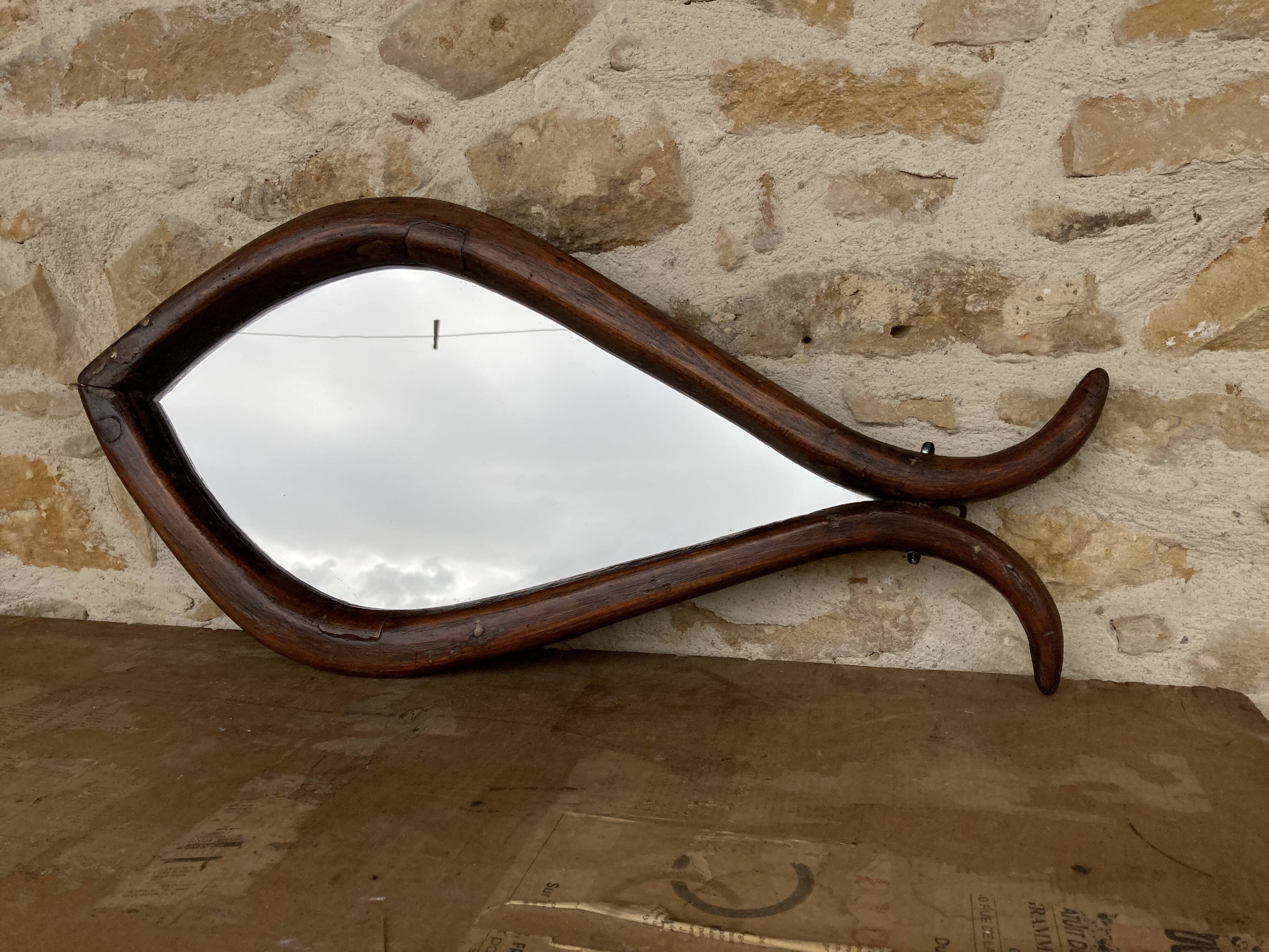 Mirror with fish-shaped wooden frame