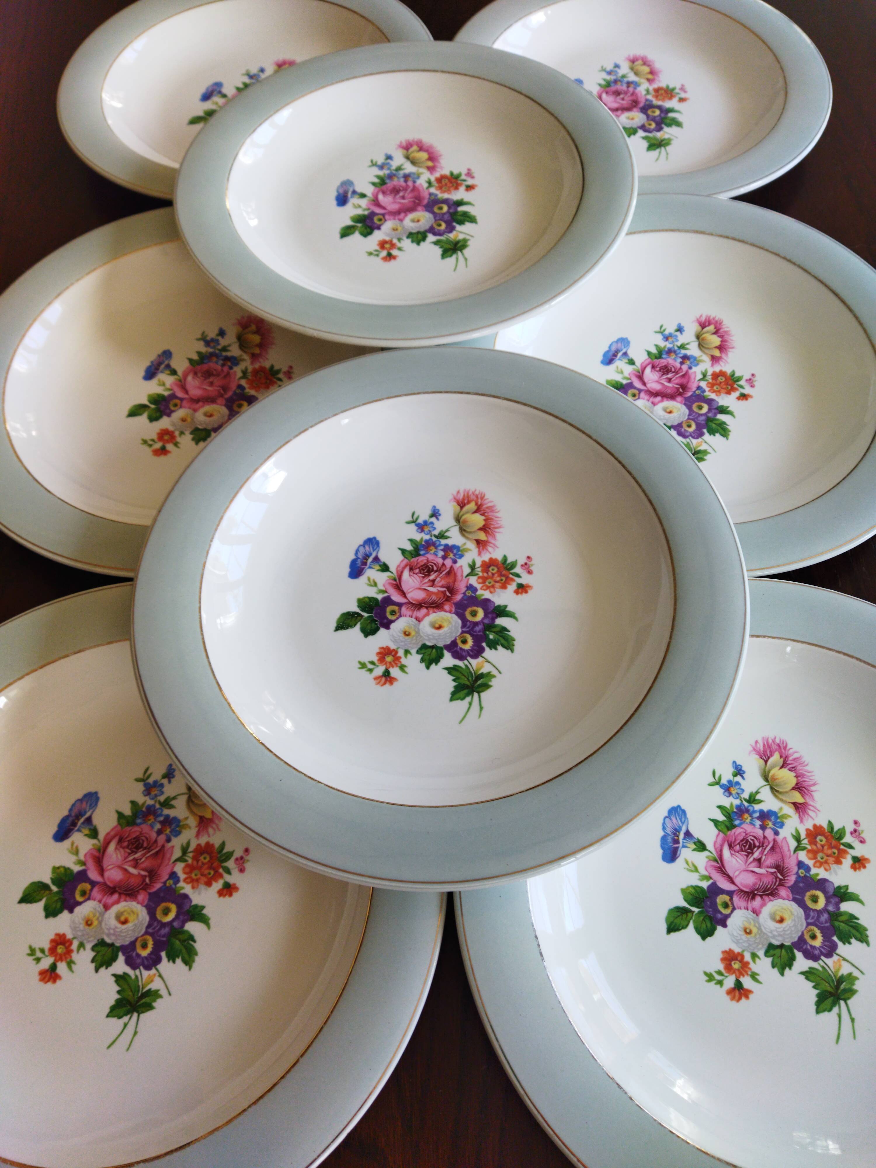 8 semi-deep plates Salins Opaceline 702