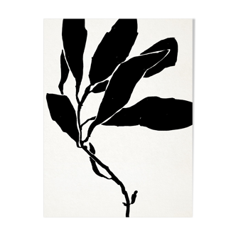 Botanical illustration in black, 50x70