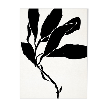 Botanical illustration in black, 50x70