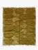 Tapis Contemporain Chartreuse - 284 x 248 cm
