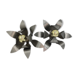 Duo d'appliques en forme de fleur