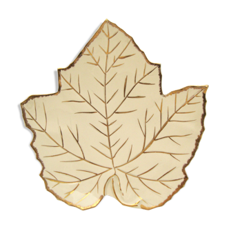 Empty-pocket plane tree leaf