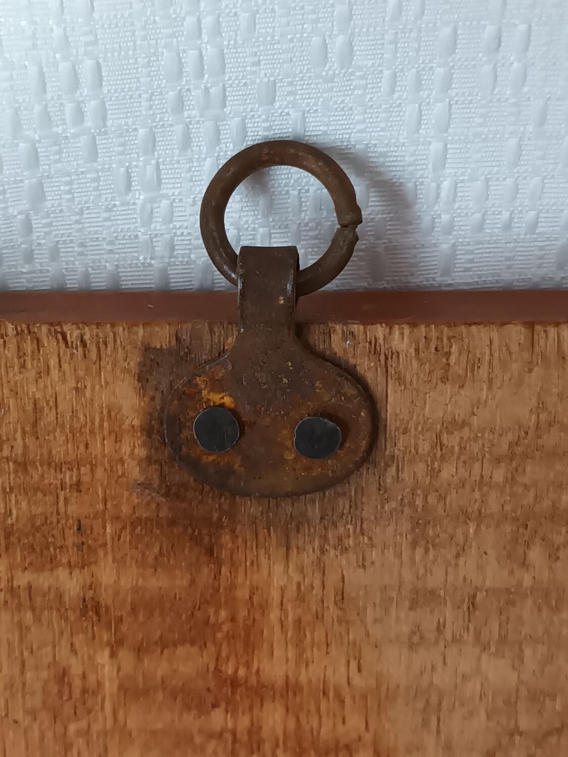 Vintage botanical boards frames