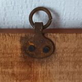 Vintage botanical boards frames