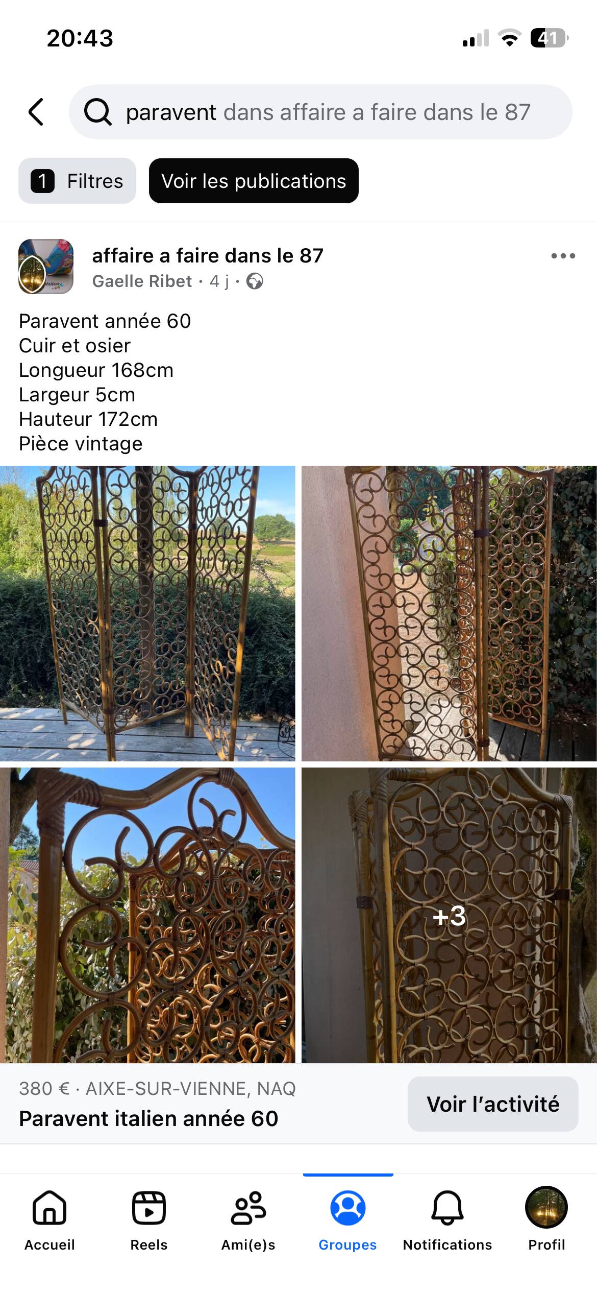 Vintage screen