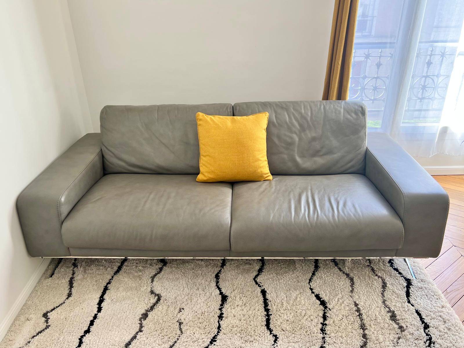 Roche Bobois sofa