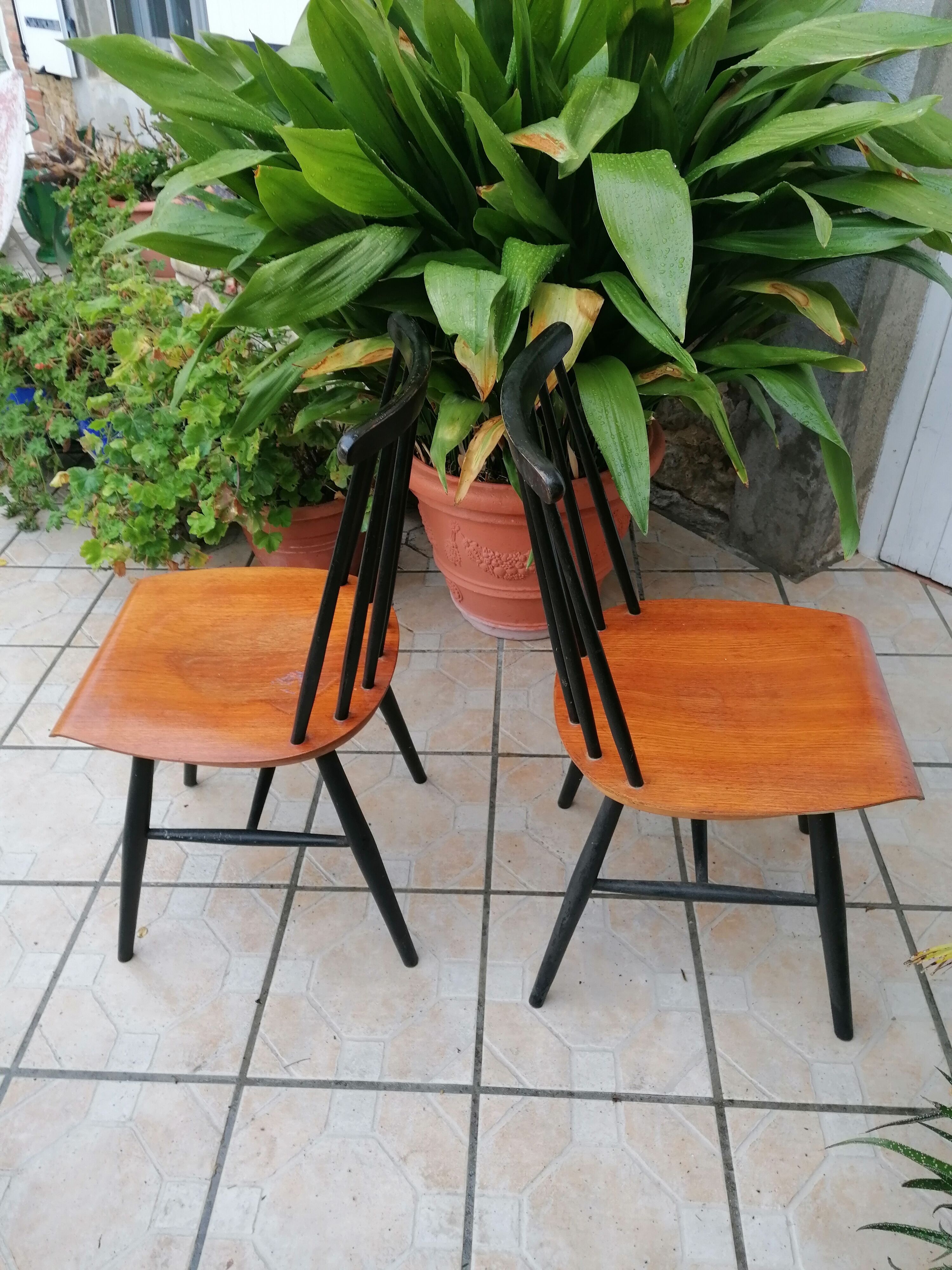 Model chair Fanett D'Ilmari Tapiovaara 1955