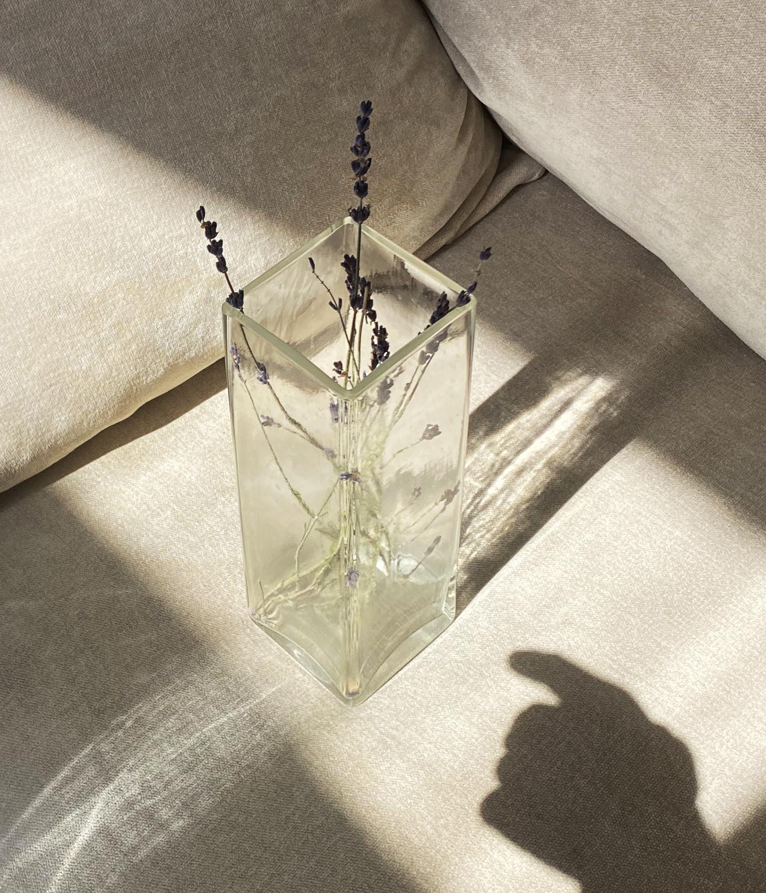 Transparent glass vase