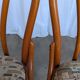 Ensemble de 6 chaises de salle à manger Thonet en bois courbé avec assise en tissu / Années 1970 Mid-Century Bistr