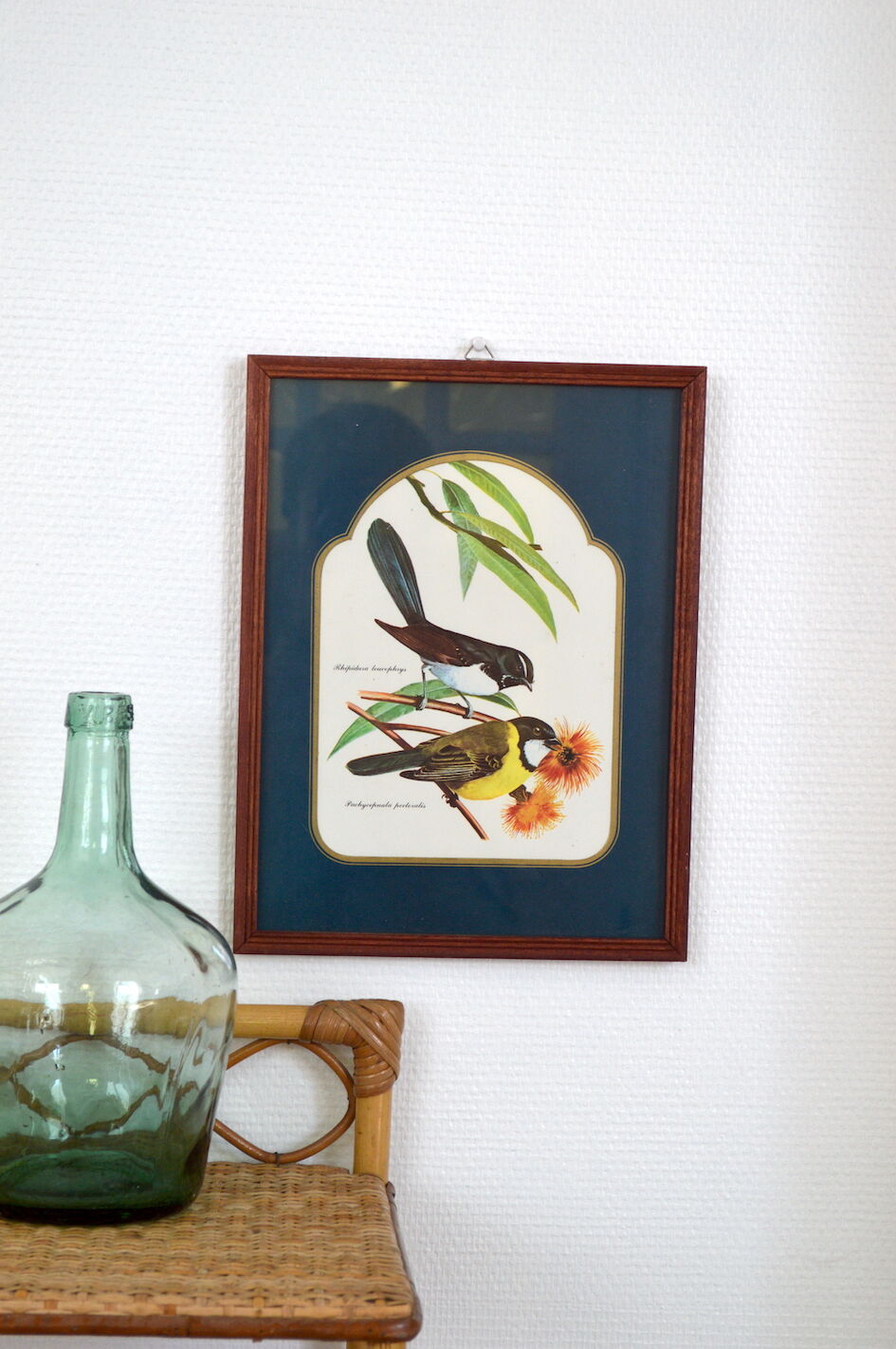 Exotic bird duo setting