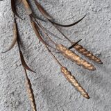 Applies sheaves of wheat brass vintage