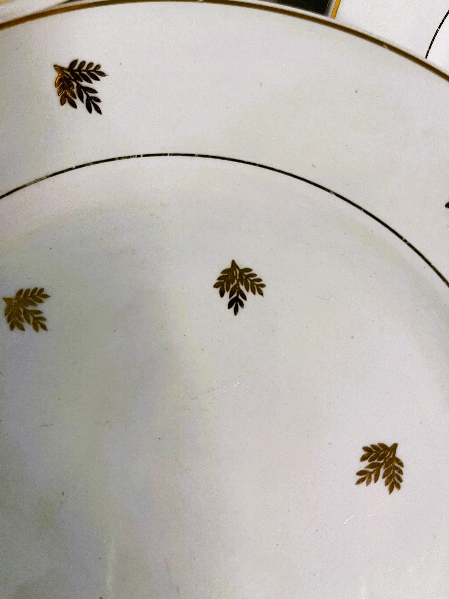 11 plates in antique earthenware decorated with golden leaves and golden border
