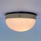 Pair of Bakelite Bauhaus ceiling lights or Flush Mounts, wall lamps - 1940s