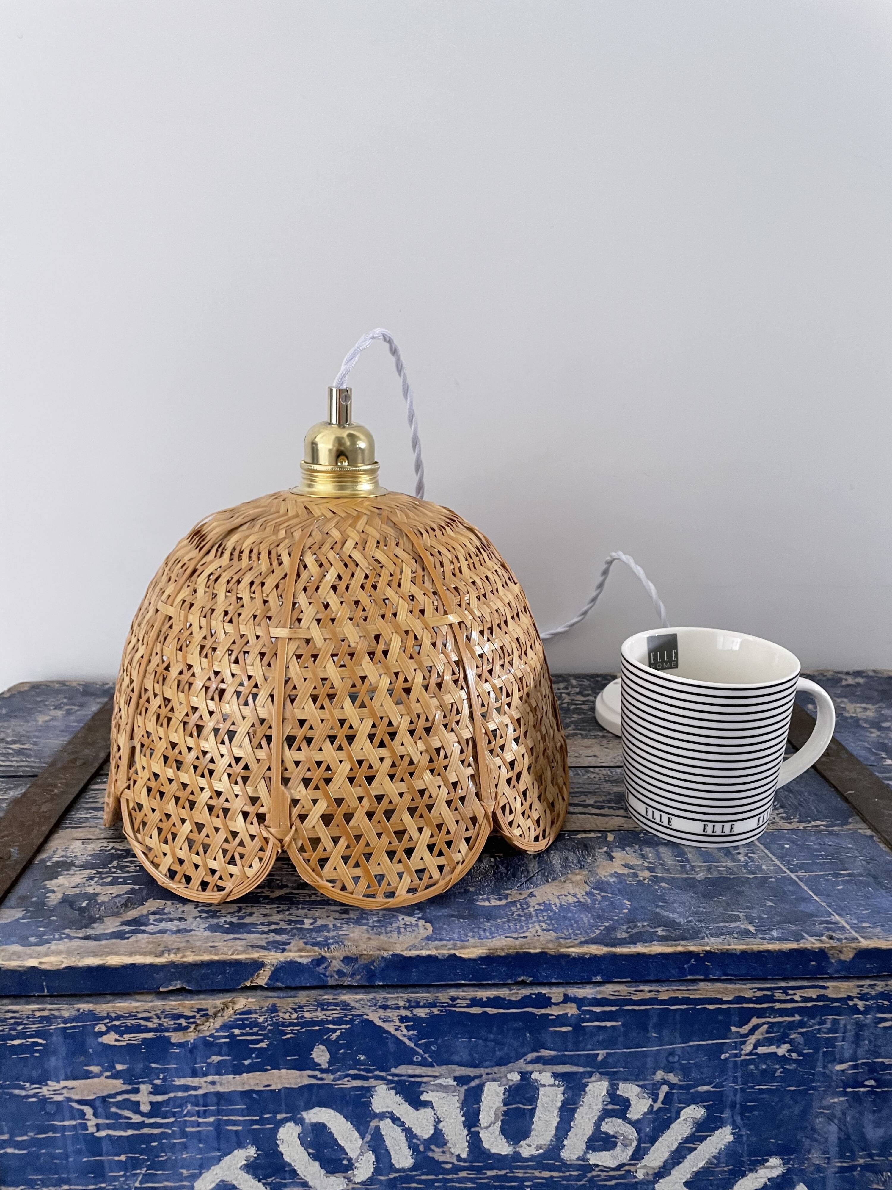 Vintage suspension in electrified braided wicker to nine
