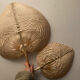 Palm leaf