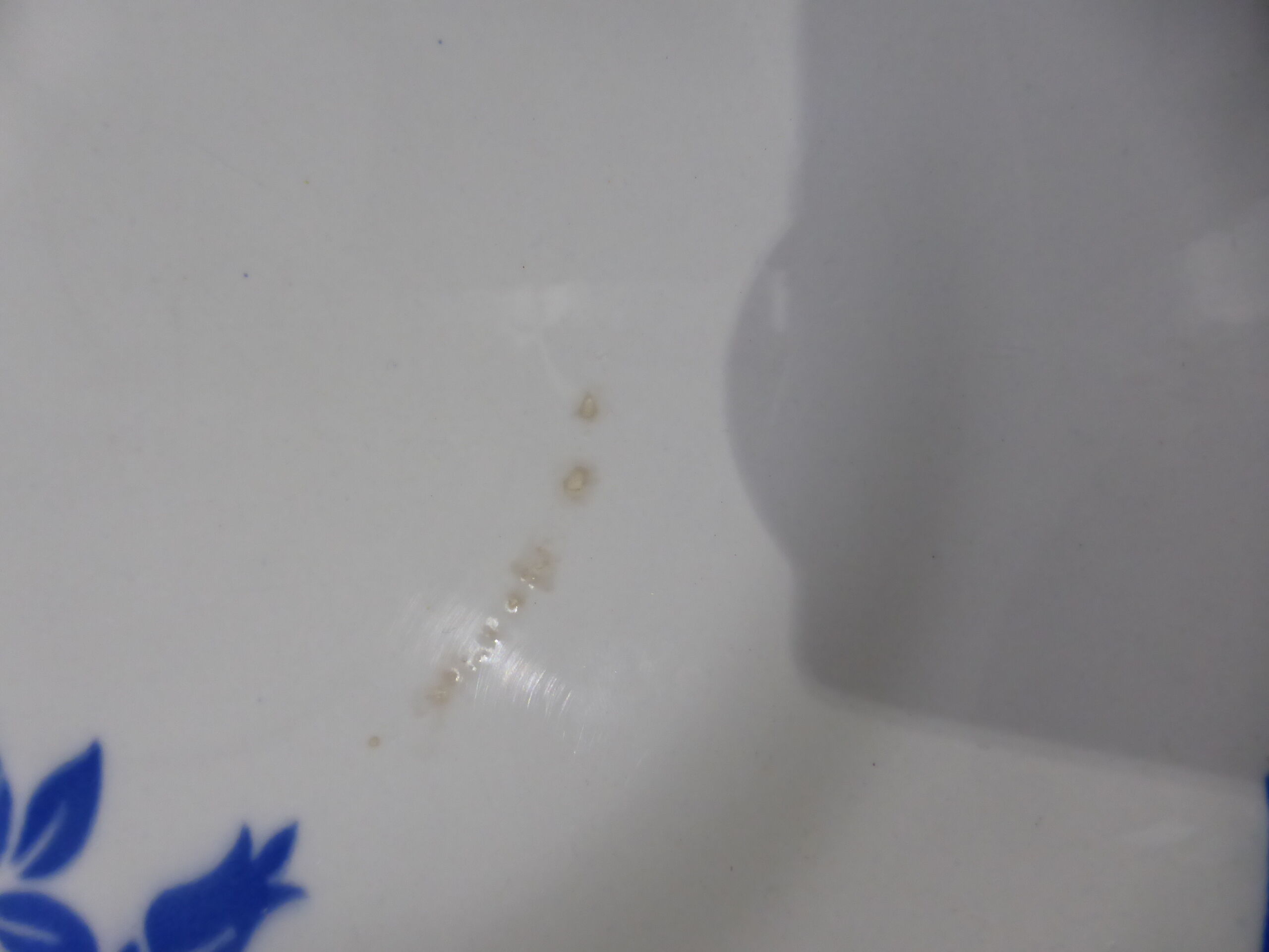 4 flat plates of Digoin Sarreguemines model Corsica 211209