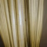 Tripod year 50